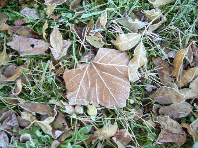 Fletch Travel and Boot Camp 035