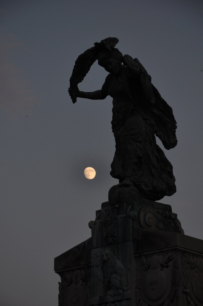 Wedding France 2013 D 90 Nikon 1217